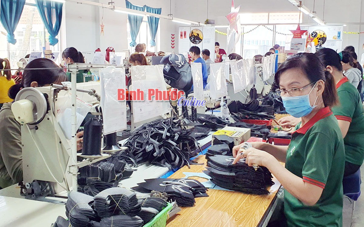 Bình Phước: Dồn lực Tổng điều tra kinh tế năm 2021